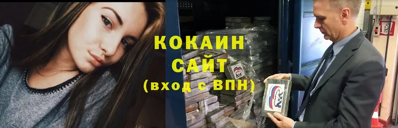 COCAIN Fish Scale  закладки  Мураши 